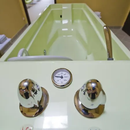 Zamecek 4* Podiebrady