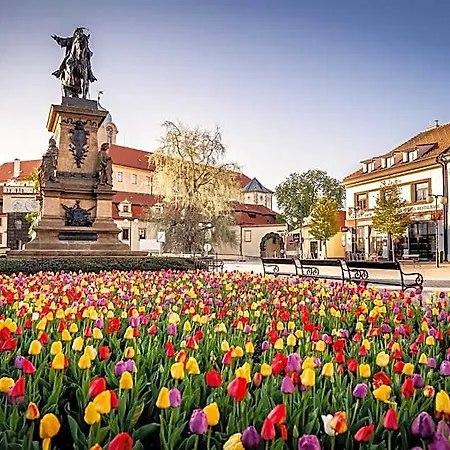 Zámeček Poděbrady
