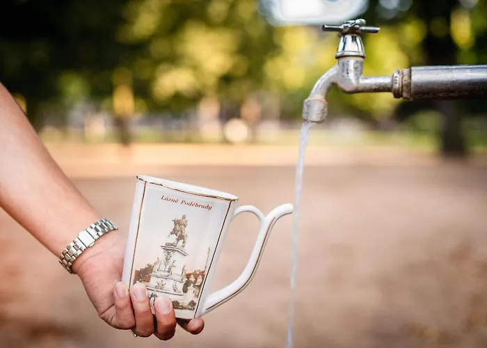 Zamecek Hotel Podiebrady